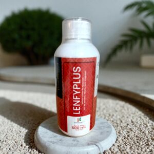 LENFYPLUS